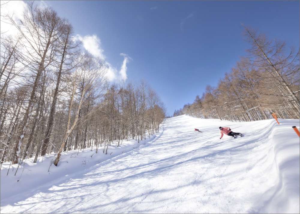 spring valley 仙台泉 スプリングバレー ゲレンデマップ メイフラワーBコース