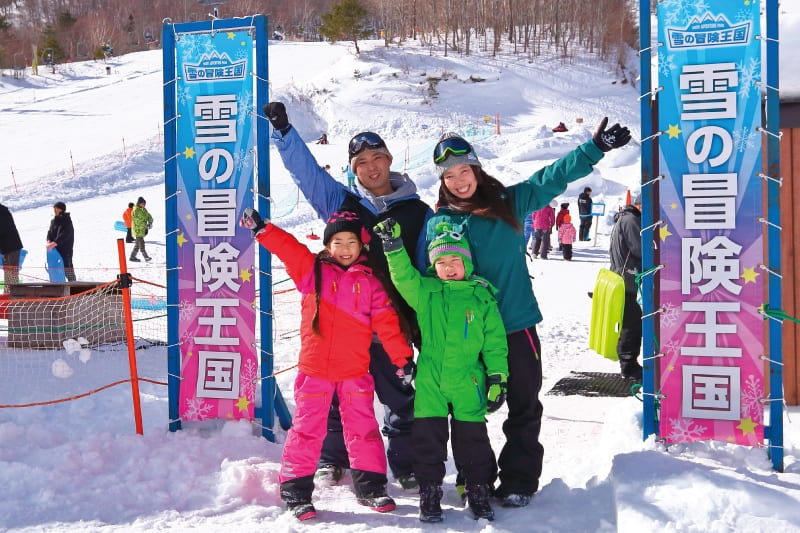 雪の冒険王国利用料(当日のみ有効)