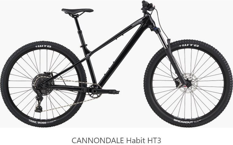 CANNONDALE Habit HT3