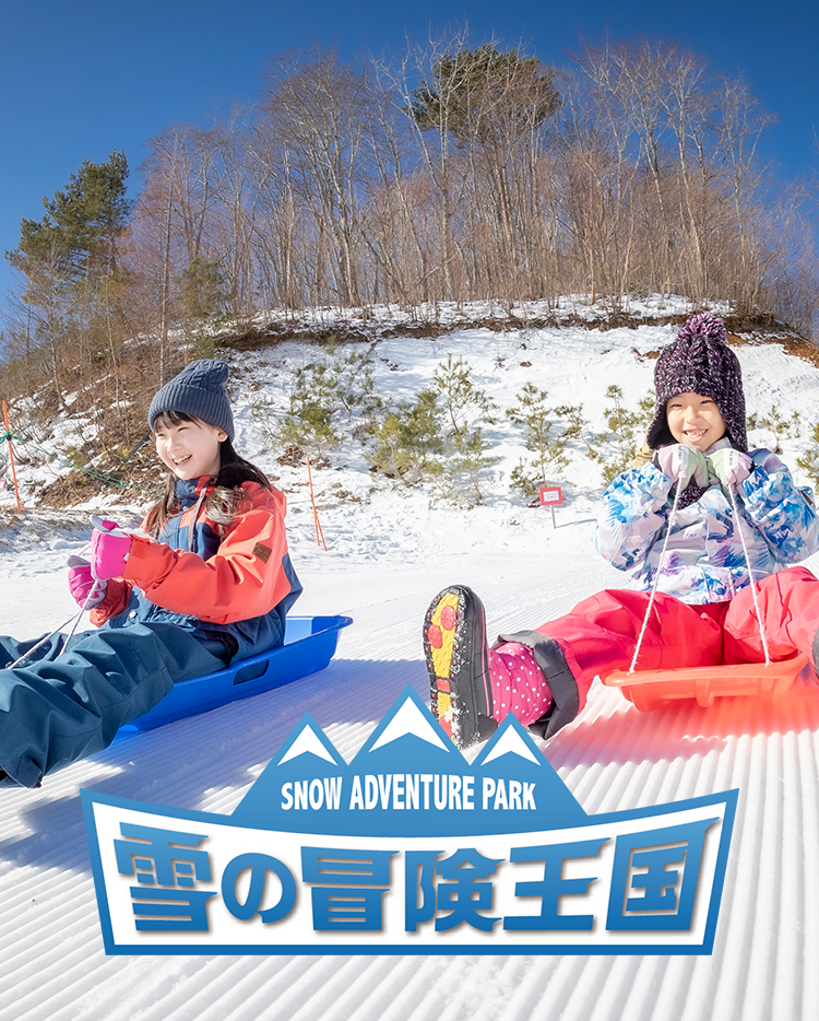 雪の冒険王国